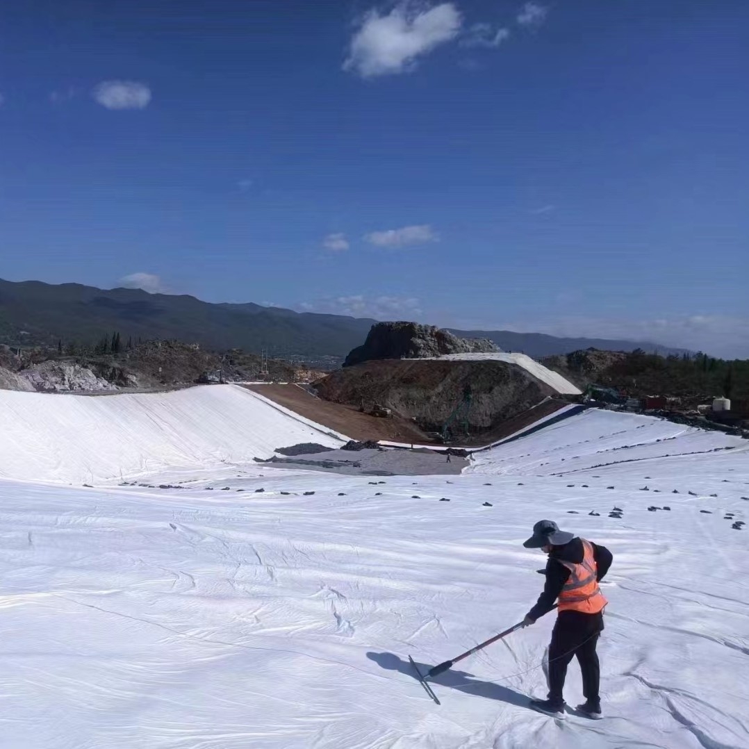 戳我試試 戳我試試