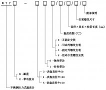 全不銹鋼液體壓力型溫度計(jì)
